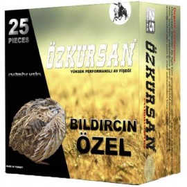 ÖZKURSAN  BILDIRCIN ÖZEL